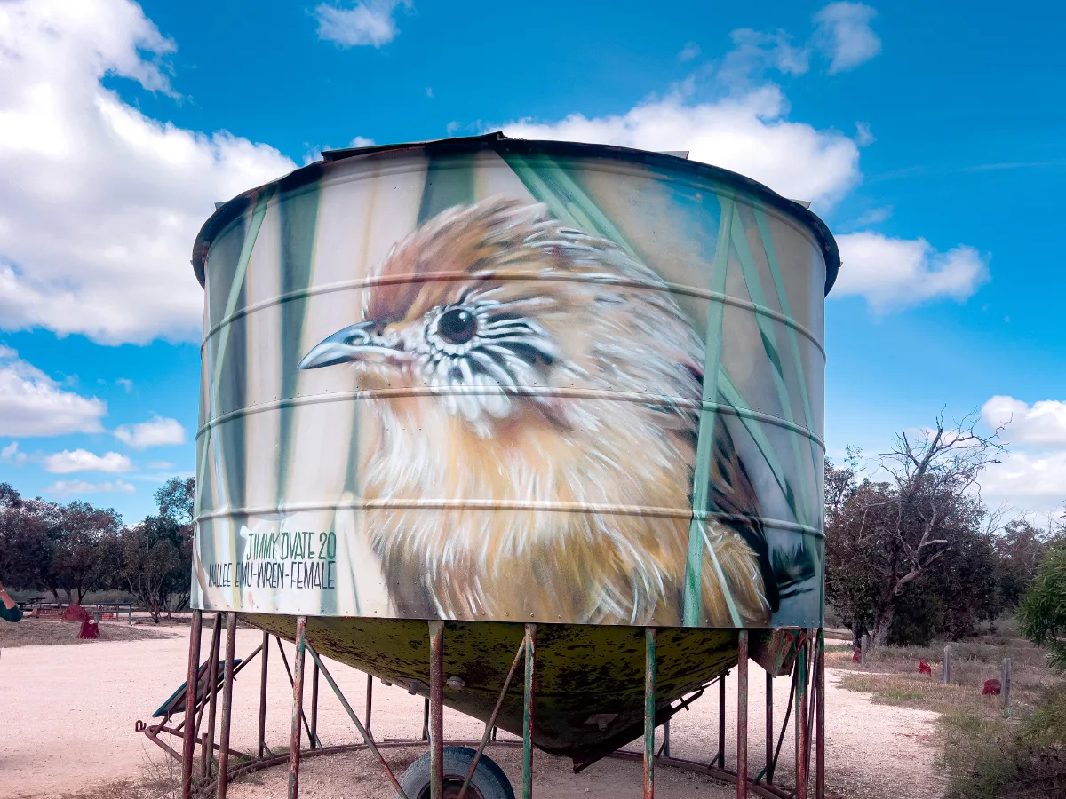 Another water tank in Woomelang, this one shows off the lovely female Mallee Emu-wren in all her glory. Another beautiful piece from artist Jimmy Dvate.