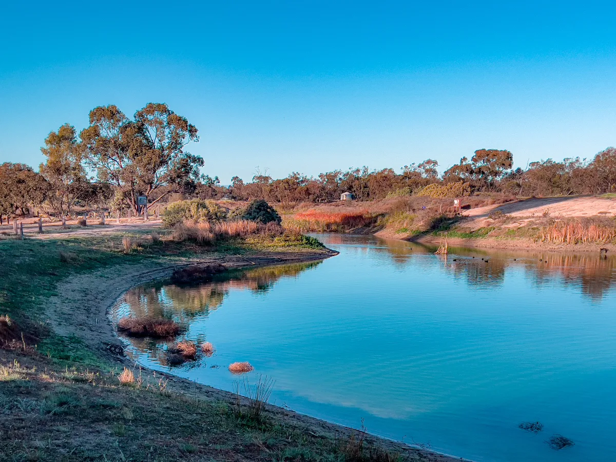 Serene waters near Woomelang offer a tranquil escape, with birdsong filling the air.