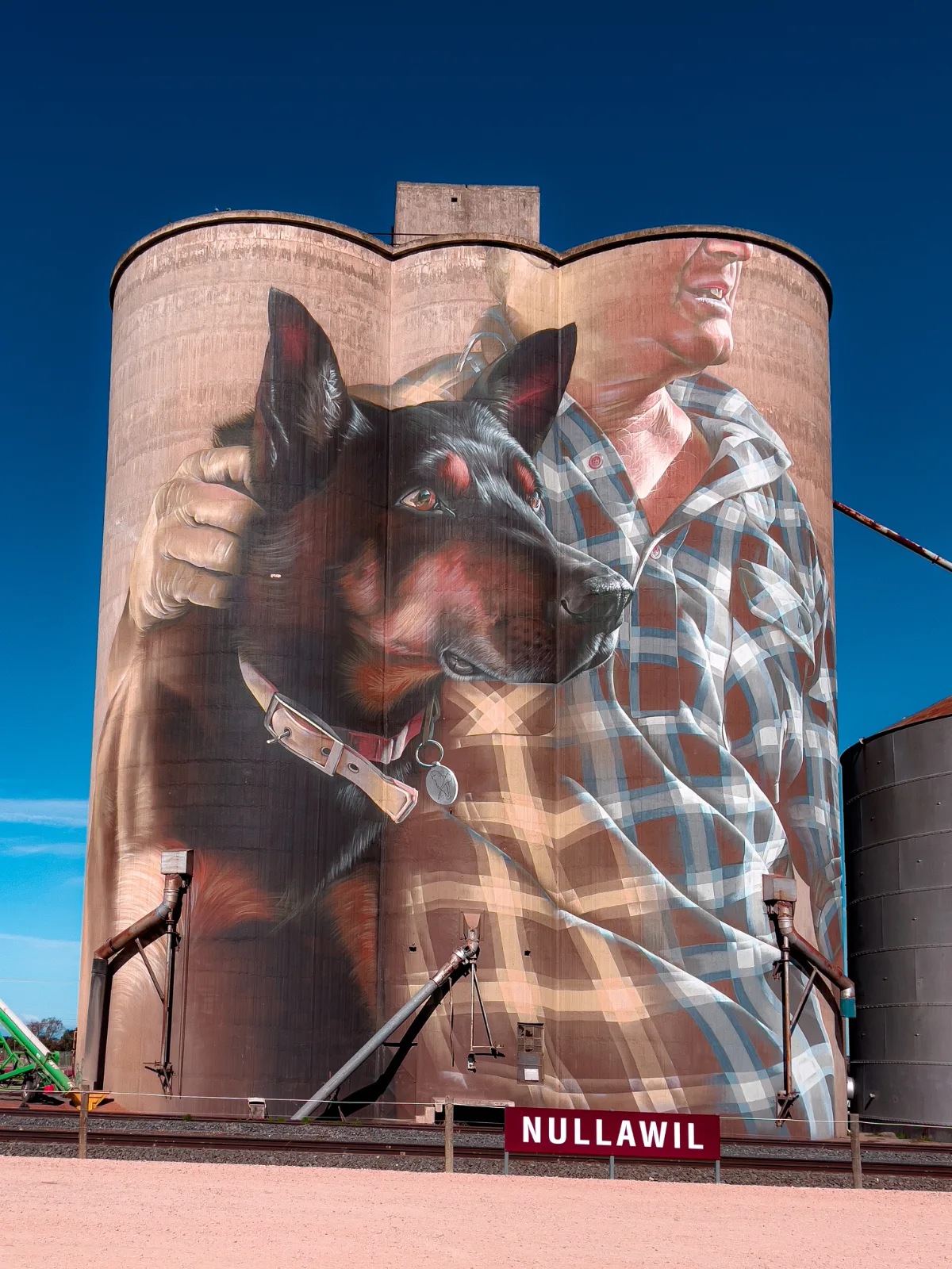The impressive mural on the Nullawil silos depicting a local farmer and his loyal dog.