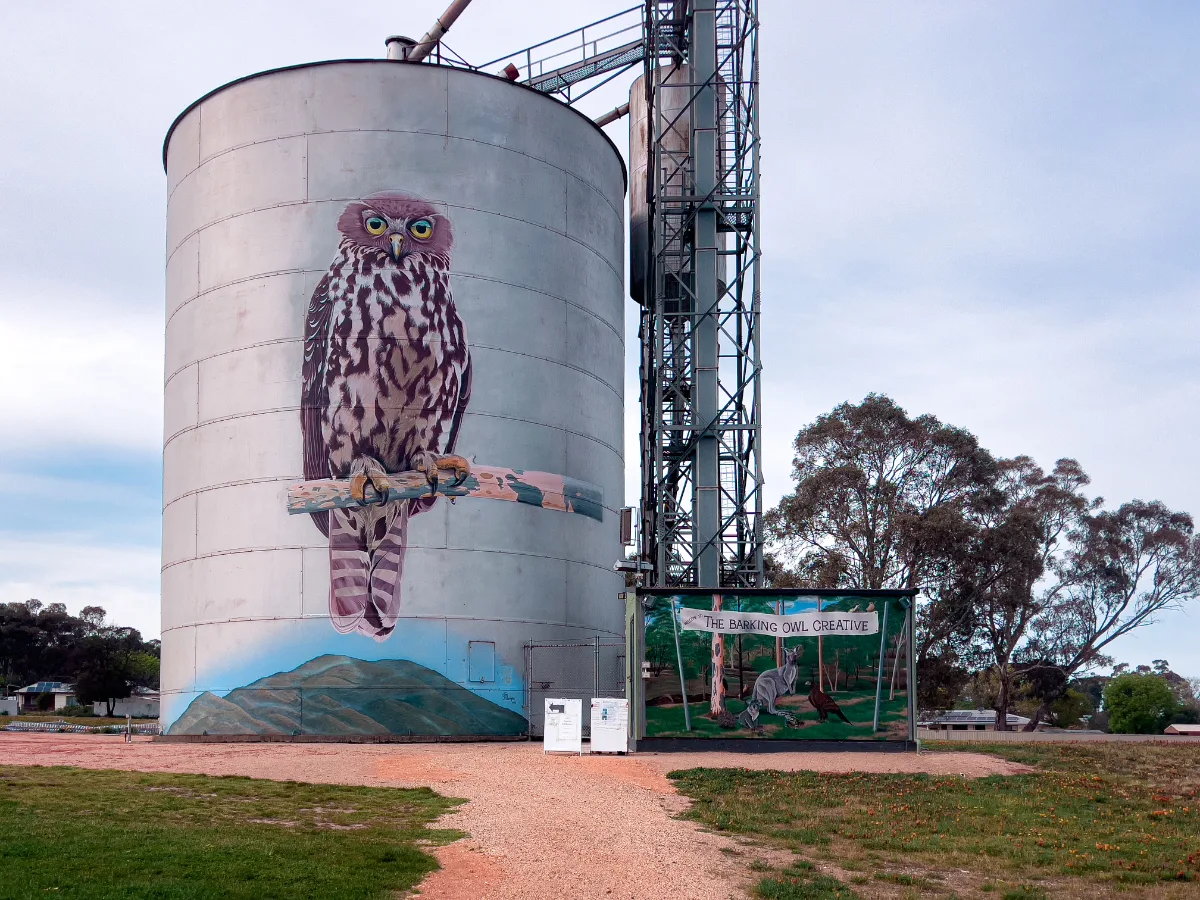 The imposing Avoca Silo, brought to life by a majestic Barking Owl perched atop a branch, its painted eyes seeming to follow us as we approached.
