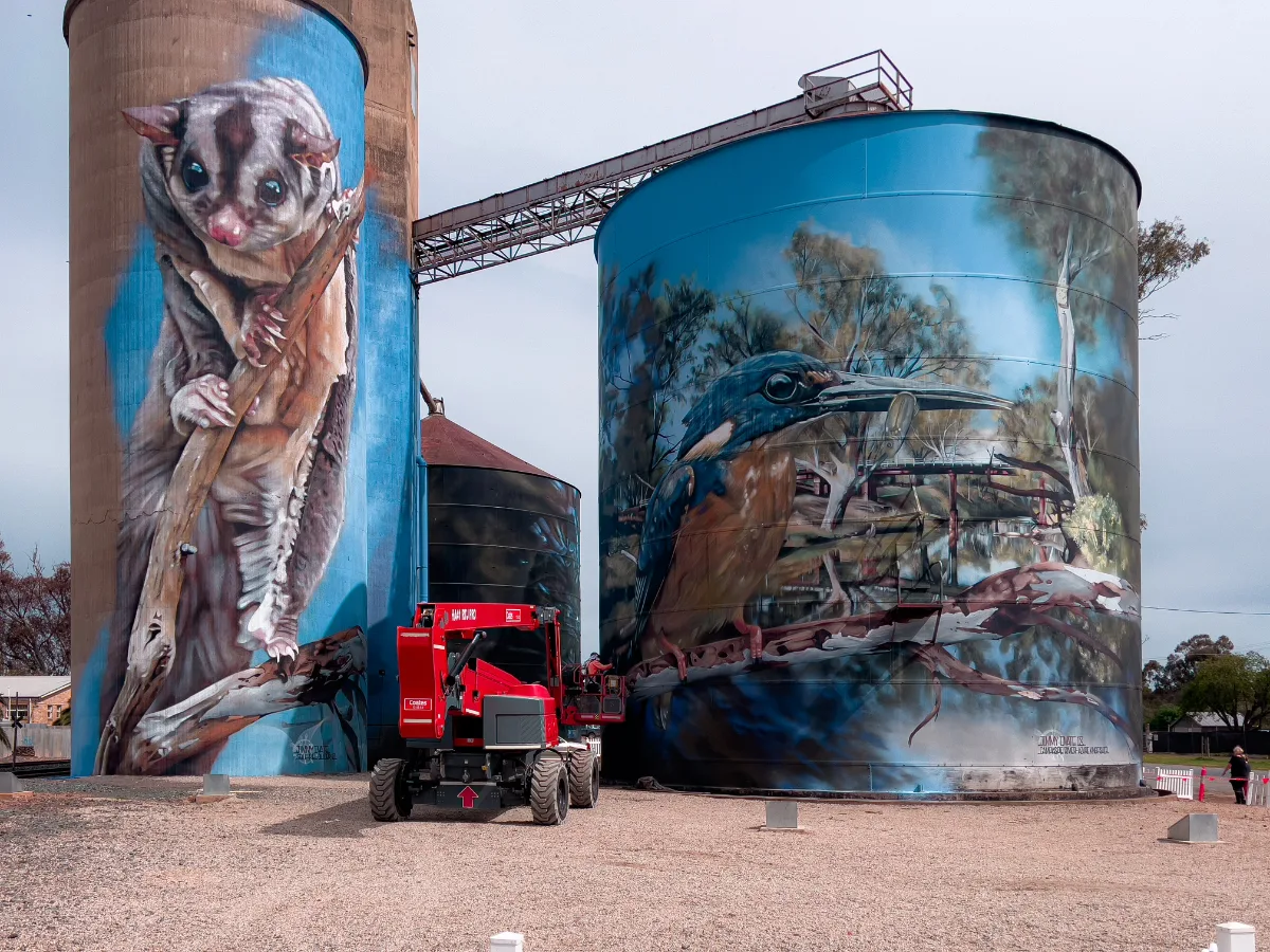 The Rochester silos showcase the exquisite artistry of Jimmy Dvate, capturing the delicate beauty of native Australian wildlife. The image shows the ongoing work by Jimmy Dvate.