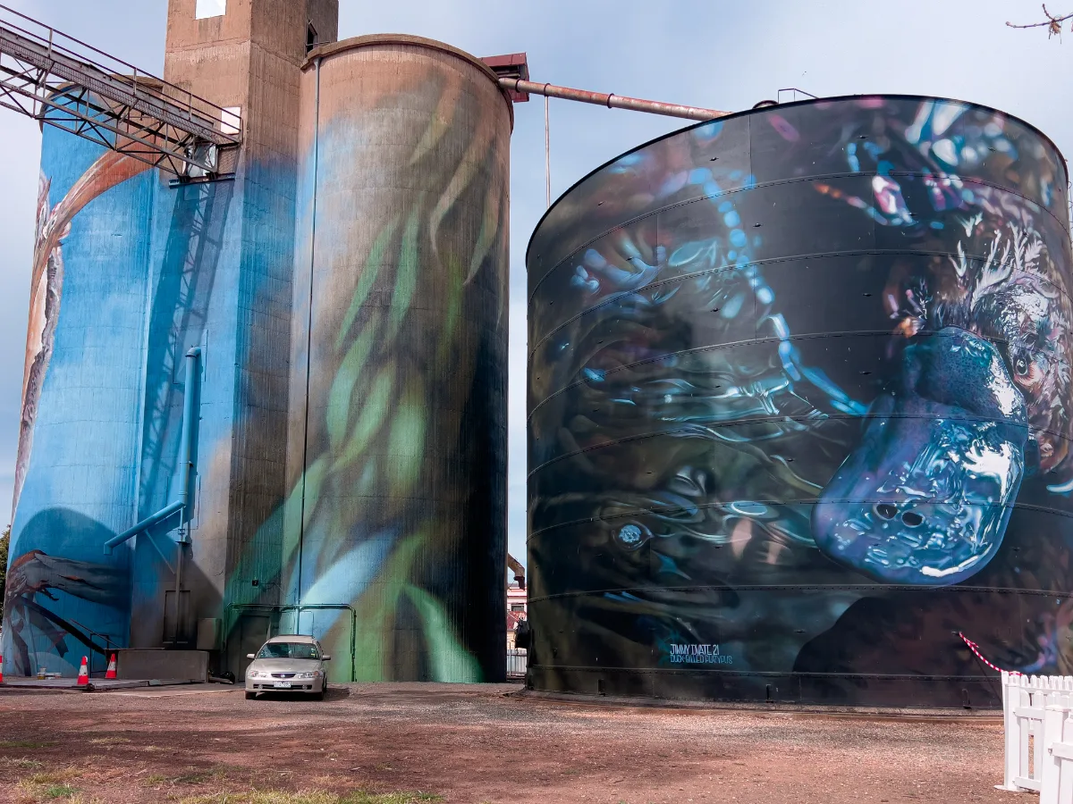 The sheer scale of the silo art at Rochester is a testament to artistic vision and the community's embrace of public art.