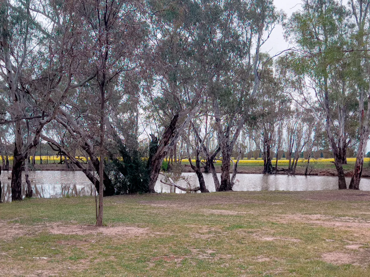 Aysons Campground's tranquil waters, reflecting the Victorian sky.