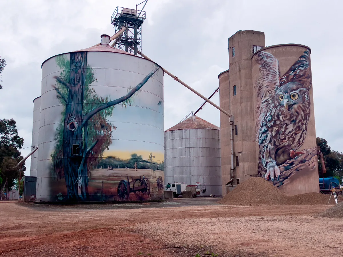 Goorambat's Silo Art features a collection of images celebrating the region's history and wildlife, including this powerful owl.
