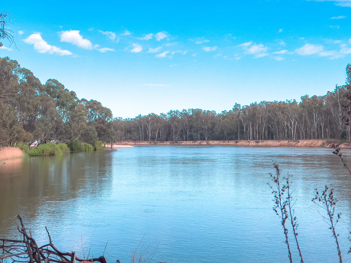 The majestic Murray River, finally showing its serene side after a day of torrential rain.