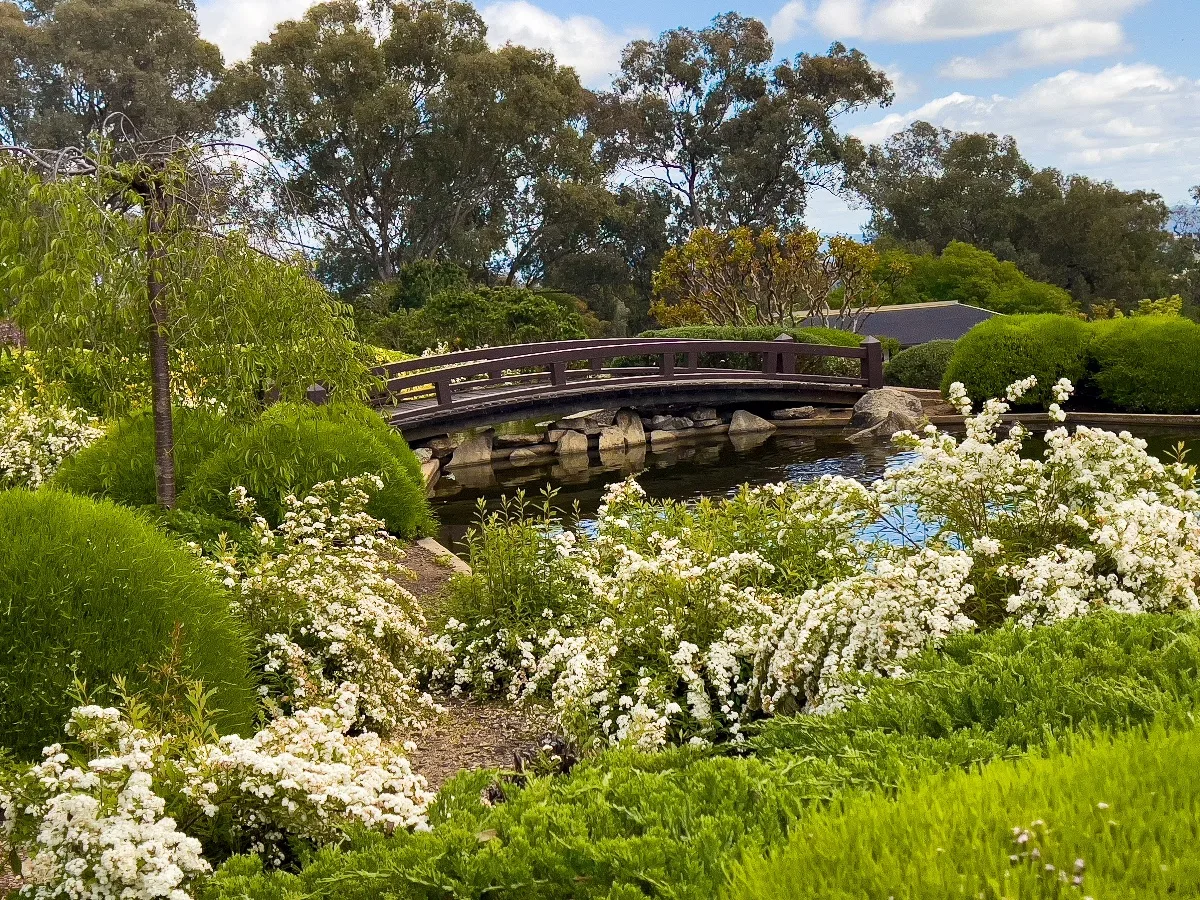 One of the many picturesque bridges that adorn the Cowra Japanese Garden.