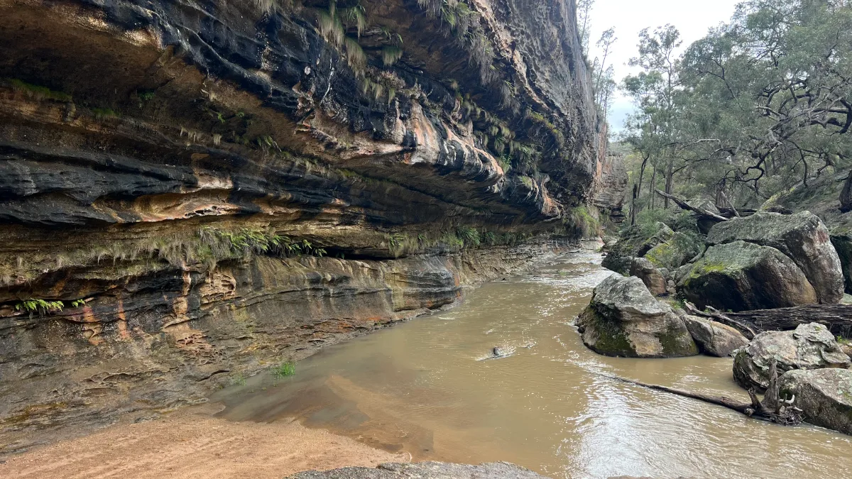 The Drip, swollen with recent rains, was more of a cascading stream than a gentle trickle.