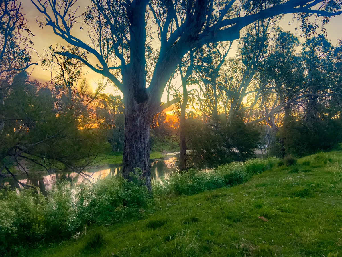 Sunset at Ponto Falls, the golden light painting the trees and water with warmth.