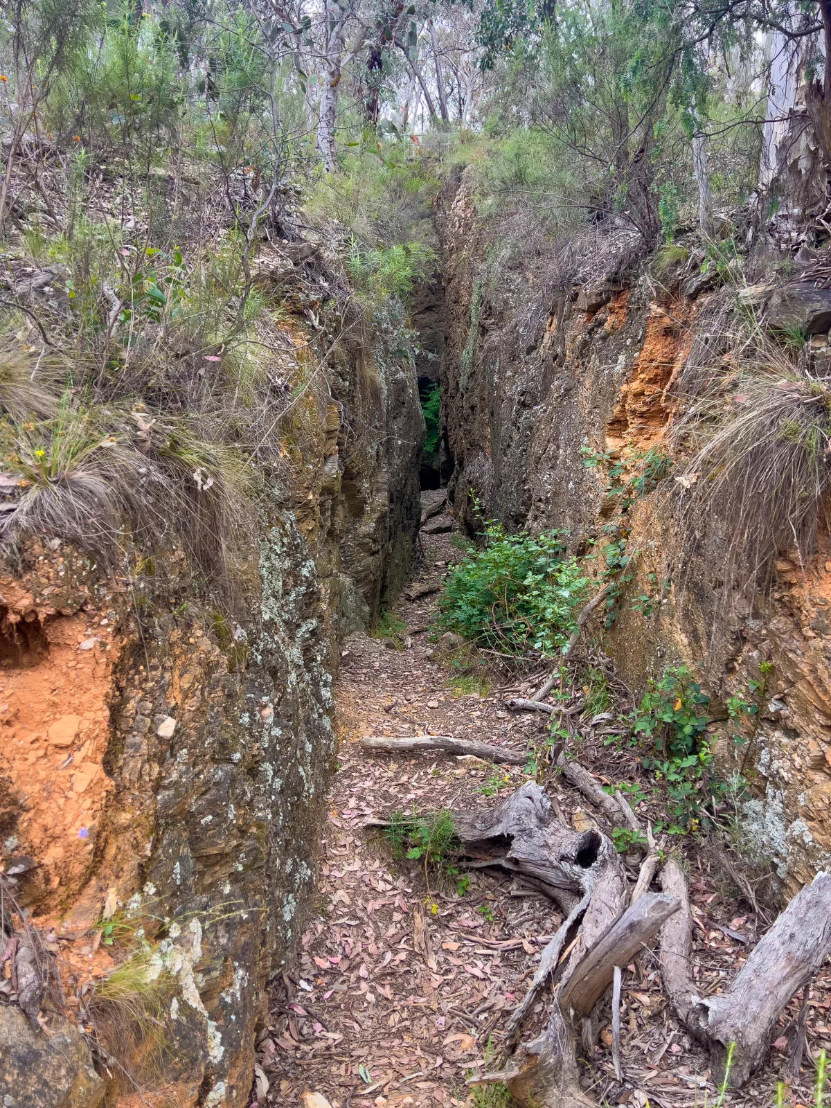 A narrow cutting in Ophir, a testament to the relentless pursuit of gold.