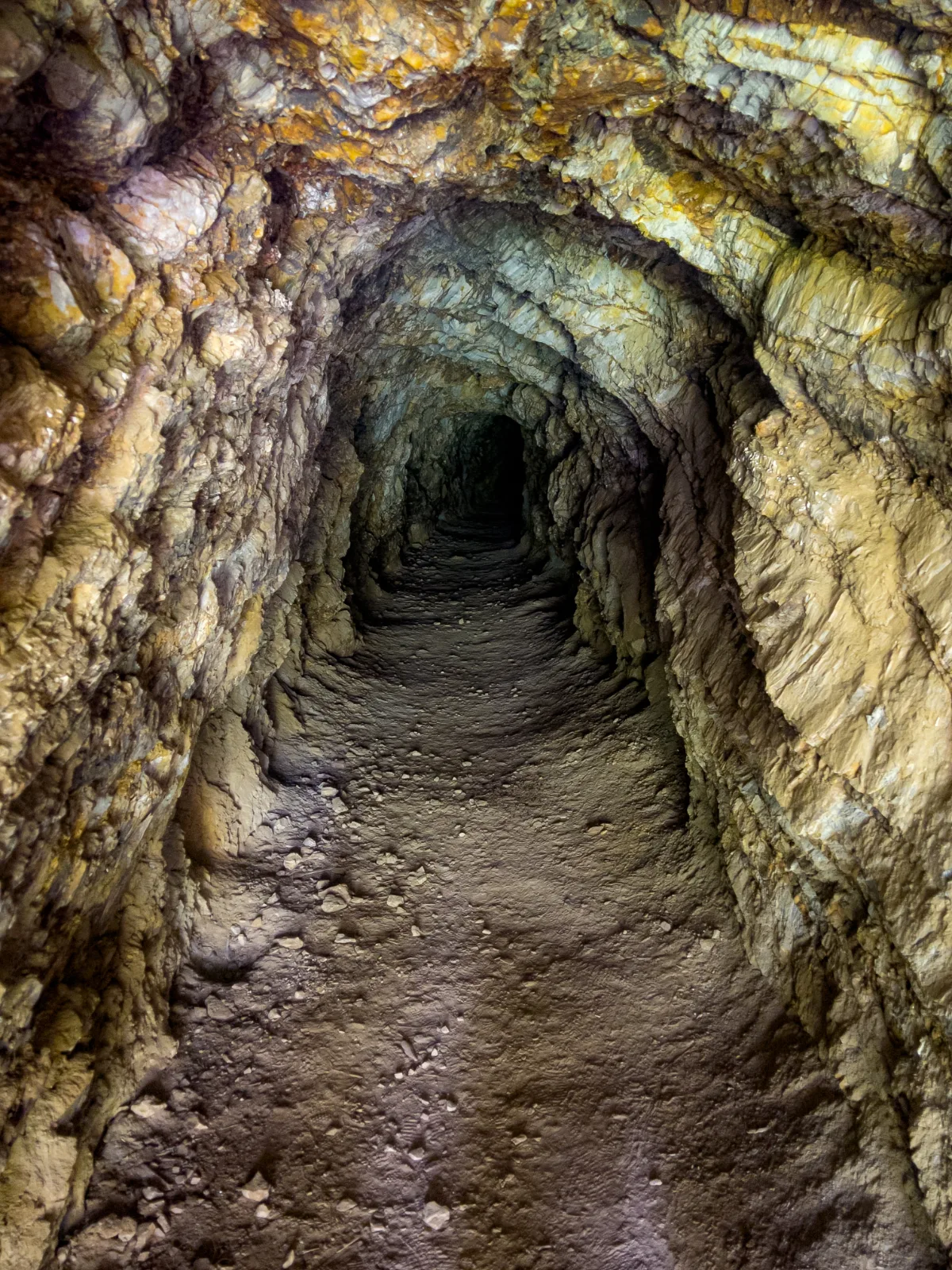 Inside one of the old mine tunnels, the darkness holds the history of the gold rush.