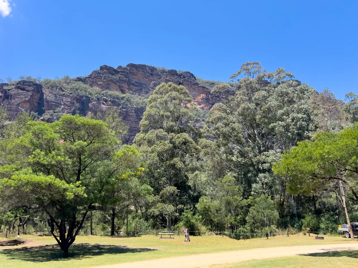 The majestic cliffs surrounding Glen Davis provide a dramatic backdrop to the tranquil bushland.