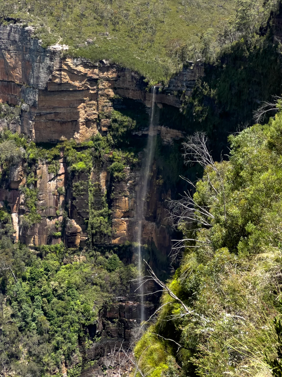 Govett's Leap waterfall, a delicate cascade against the imposing cliffs of the Blue Mountains.
