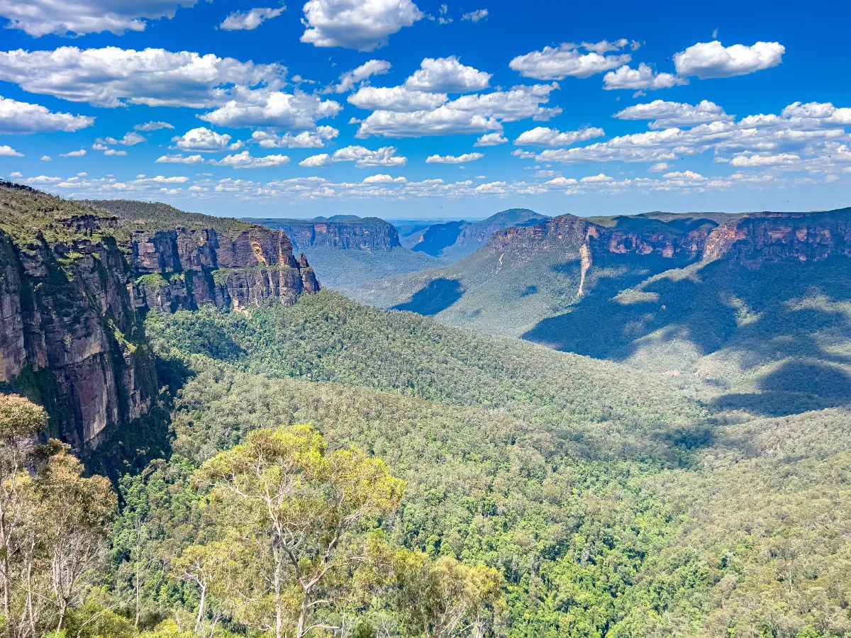 The vastness of the Blue Mountains unfolds before us, a sea of eucalyptus cloaked in a signature blue haze.
