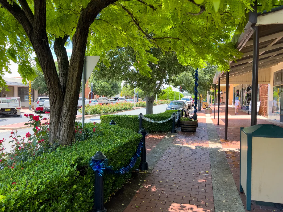 The main street of Boorowa, adorned with festive decorations and well-manicured hedges, is a delightful sight.