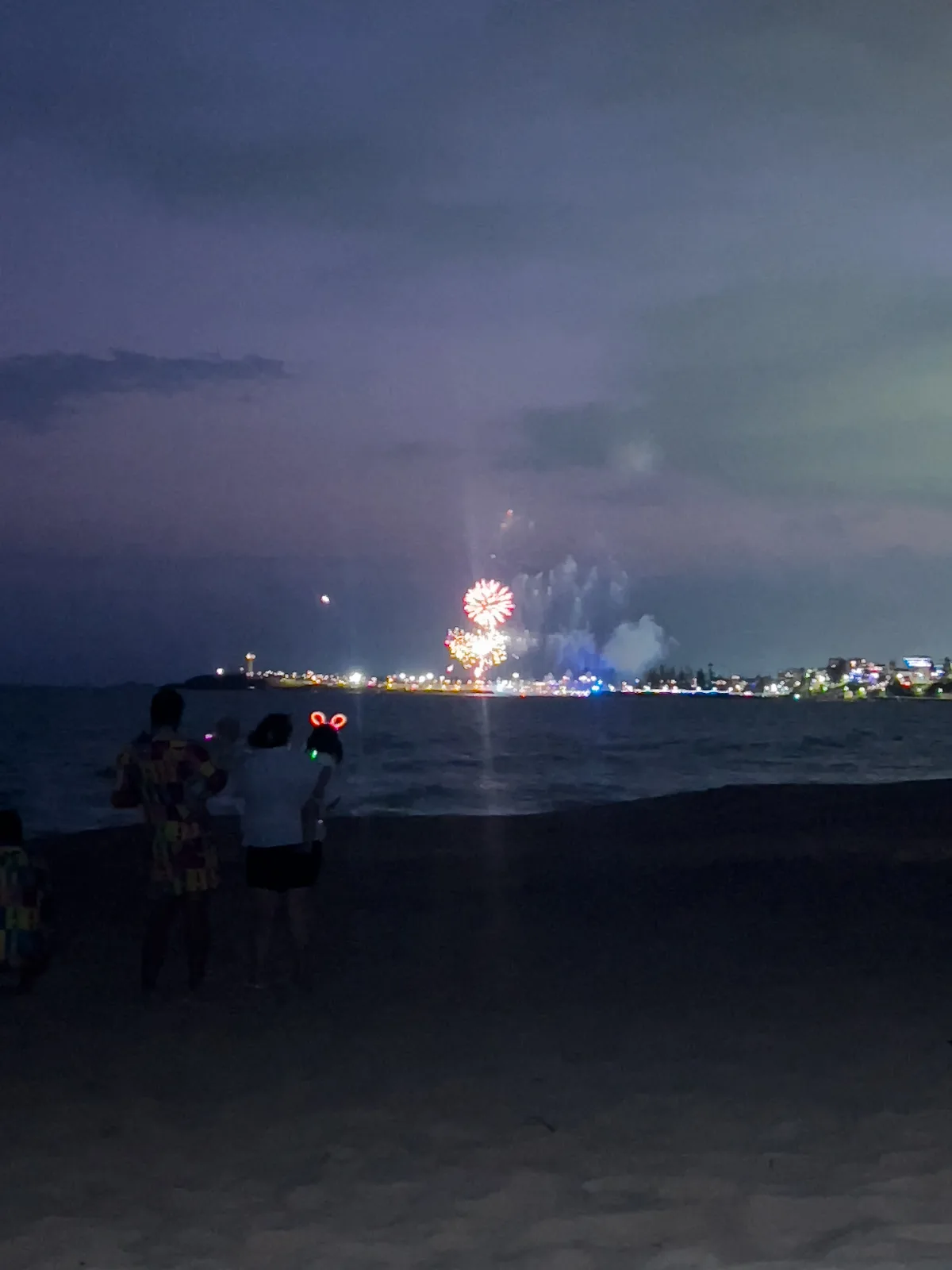 The start of the fireworks display over Fairy Meadow, with eager spectators ready to be wowed.