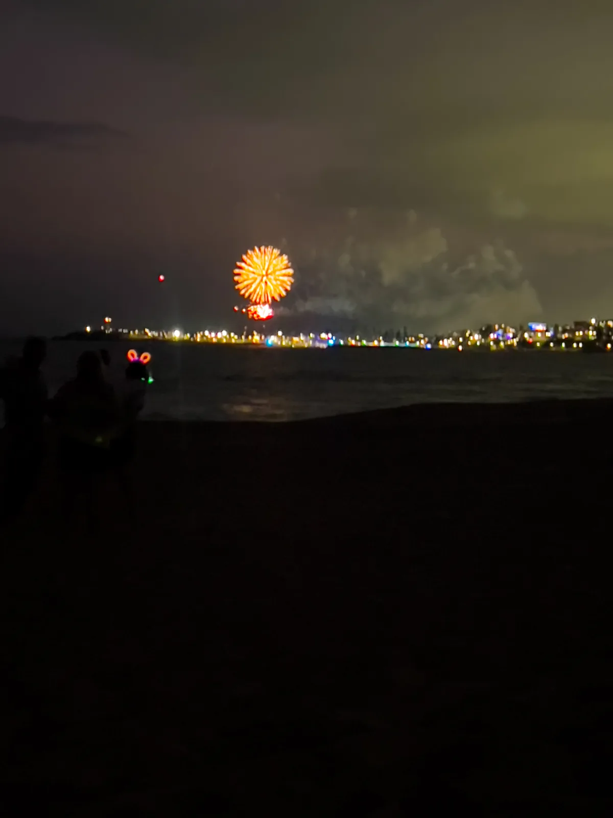 A burst of vibrant orange illuminates the night sky during the New Year's Eve celebrations in Fairy Meadow.
