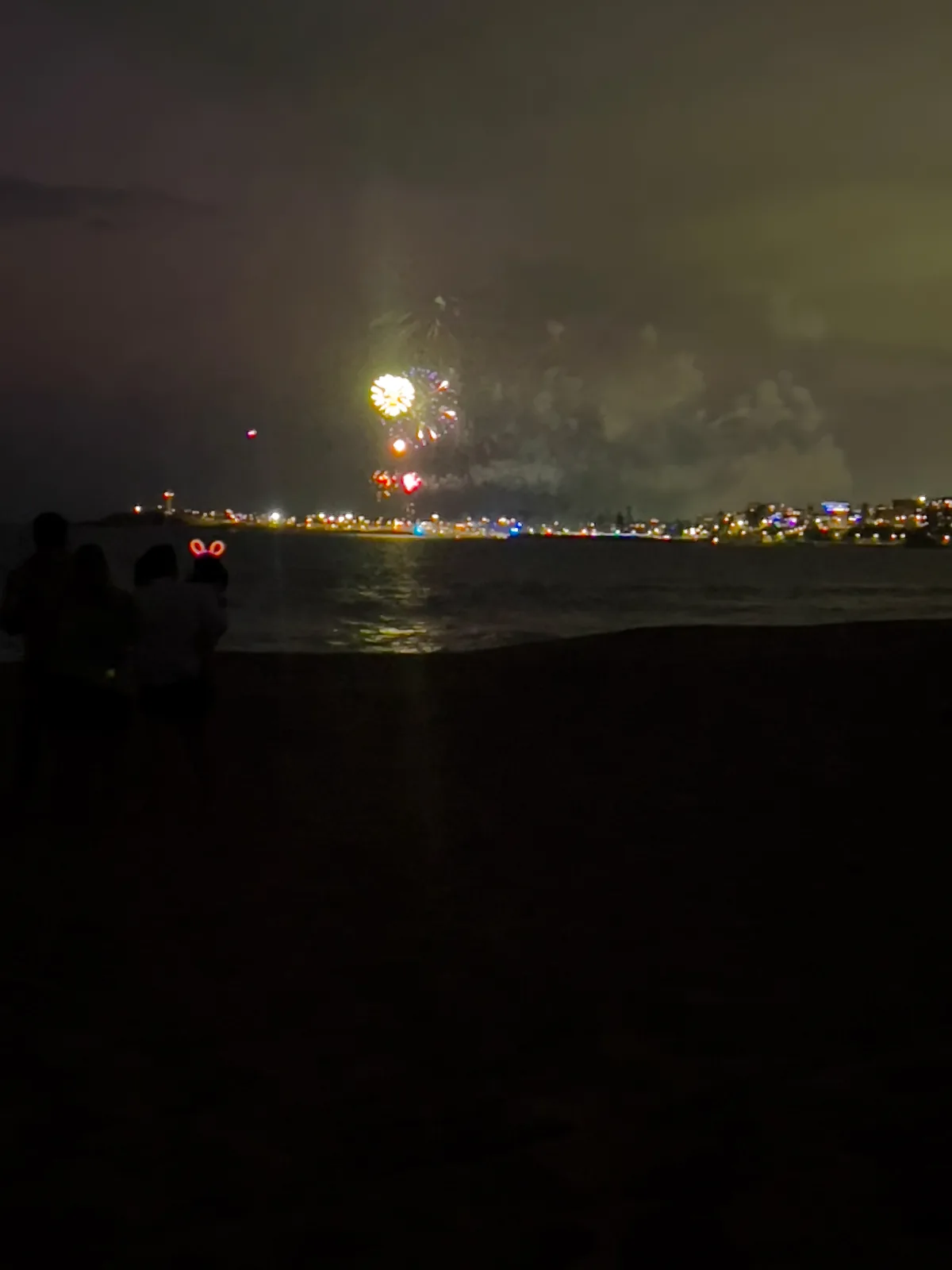 The grand finale lights up the coast of Fairy Meadow as we all celebrate the start of a new year.