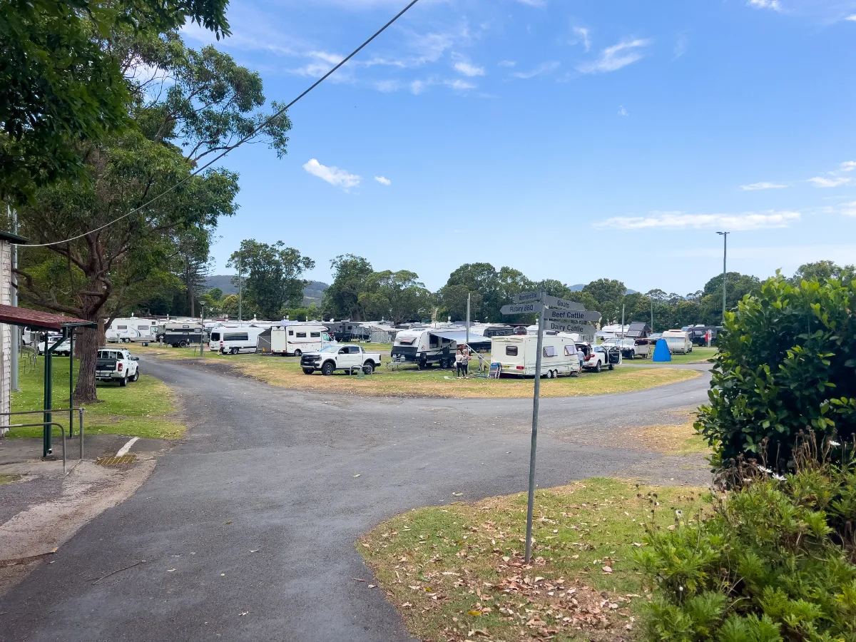 Berry Showground, a busy spot.