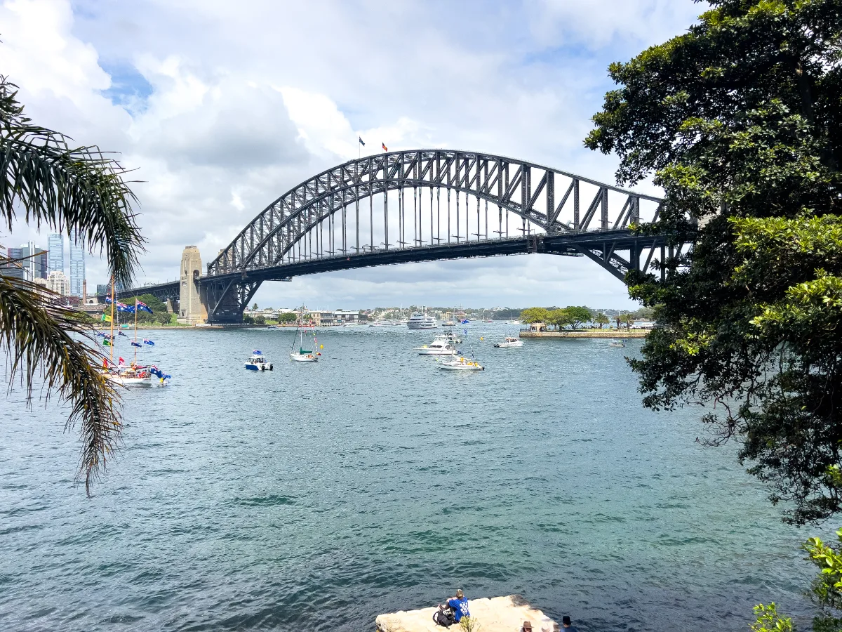 A stunning view of the Sydney Harbour Bridge framed by lush greenery.