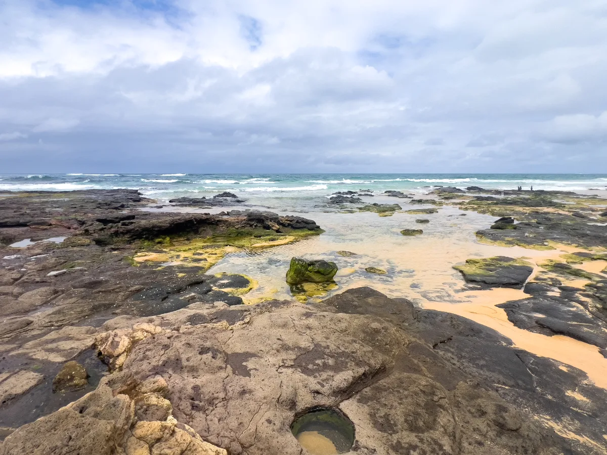 The tidal shelf at Moruya Heads is a testament to the power of the ocean and the resilience of life.