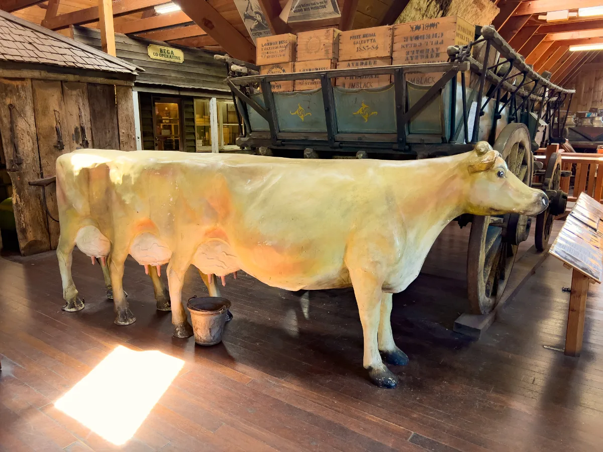 A lifelike cow model adds to the charm and historical reenactments inside the Bega Cheese Heritage Centre.
