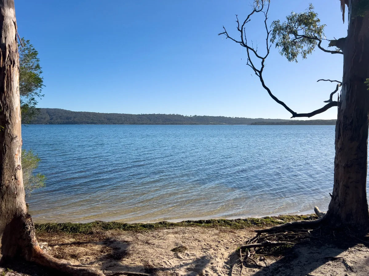 Bournda Lagoon shimmers under a cloudless sky, its calm waters reflecting the distant treeline.