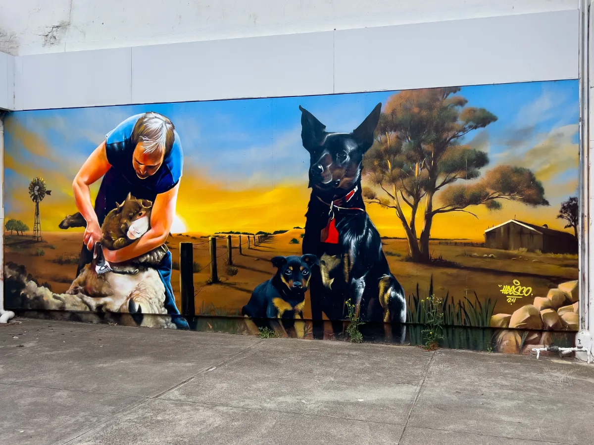 We found a mural dedicated to sheep shearing.