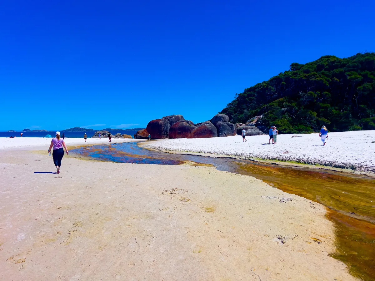 The stunning meeting point of Tidal River and the ocean.