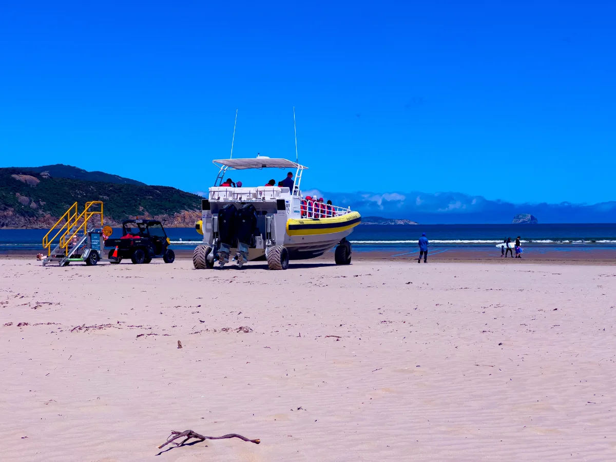 A boat comes ashore on Tidal River beach, offering a unique transportation option.