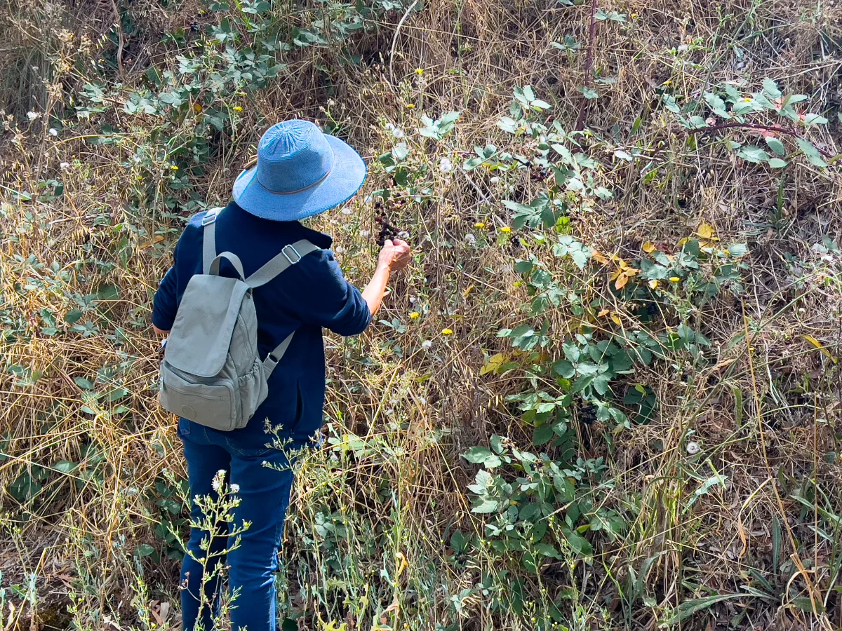 Lisa enjoying the wildflowers near our camping spot.