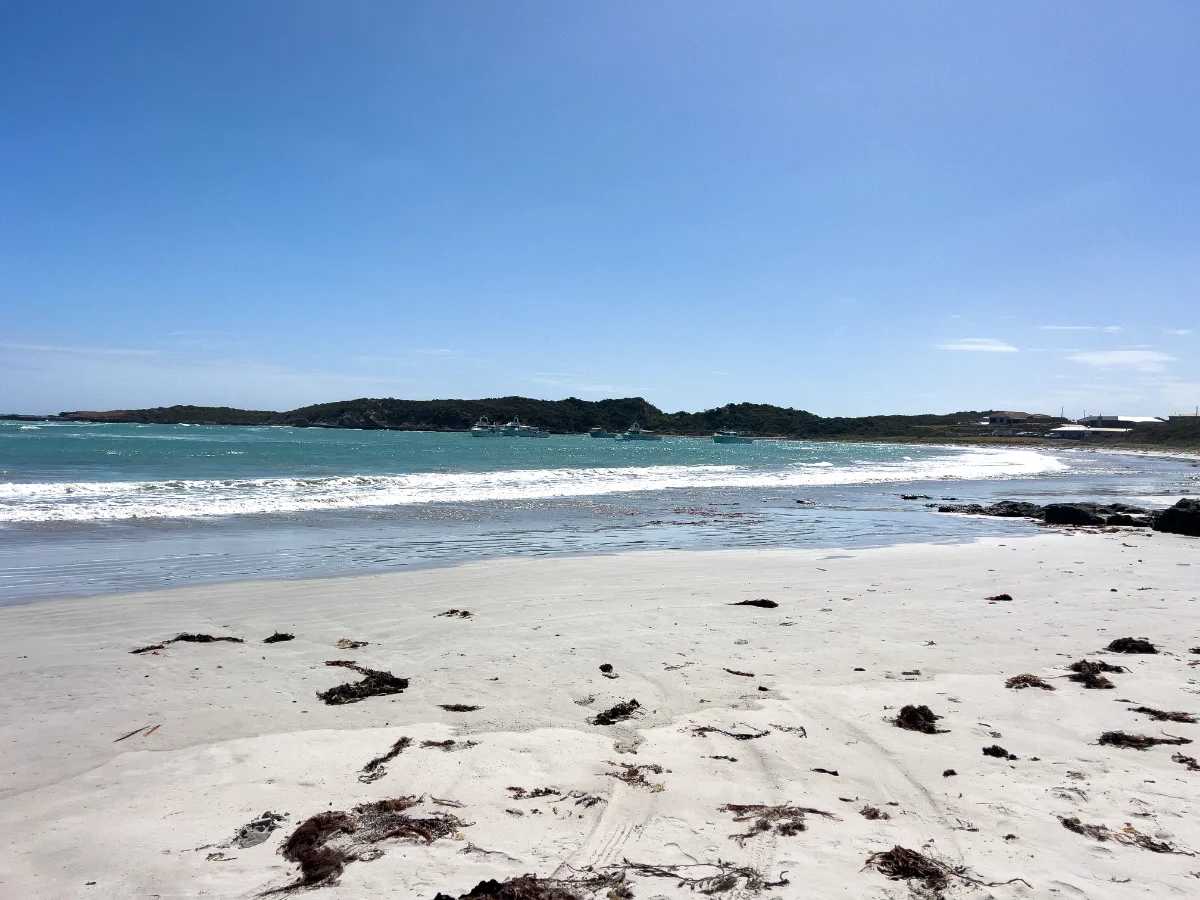 The beach at Carpenter Rocks, a rugged beauty shaped by the Southern Ocean.
