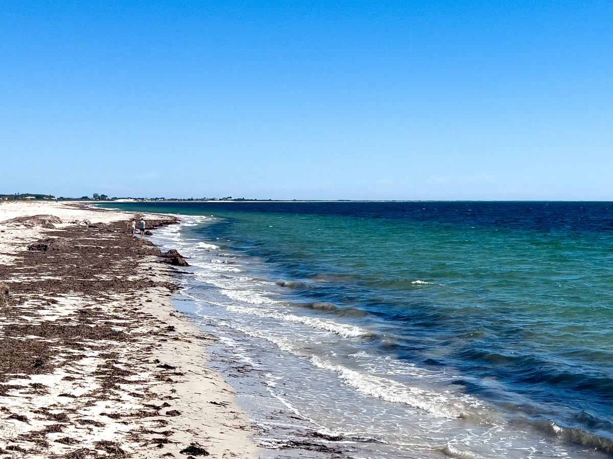The beach at Kingston SE, where the Southern Ocean meets the South Australian coast.