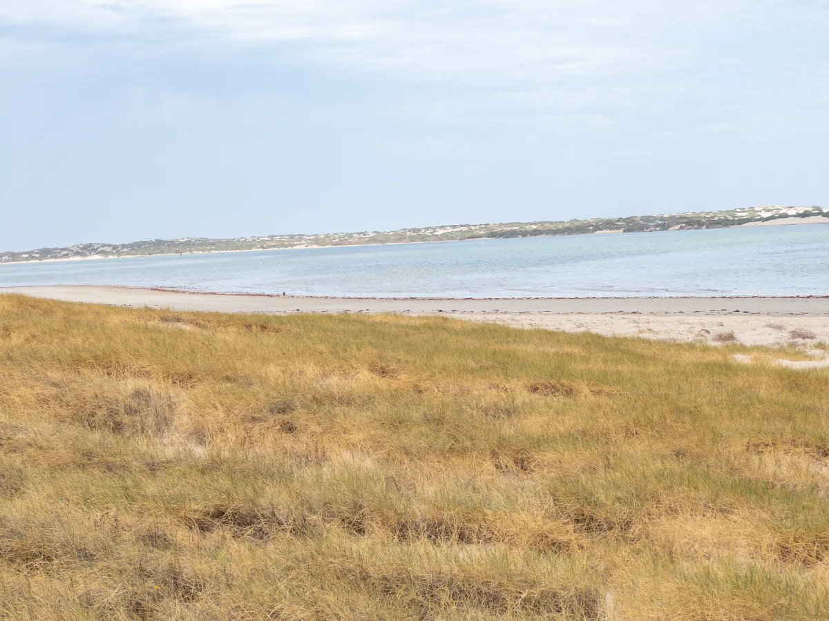 The seemingly endless vista where the Murray River finally meets the ocean in South Australia.