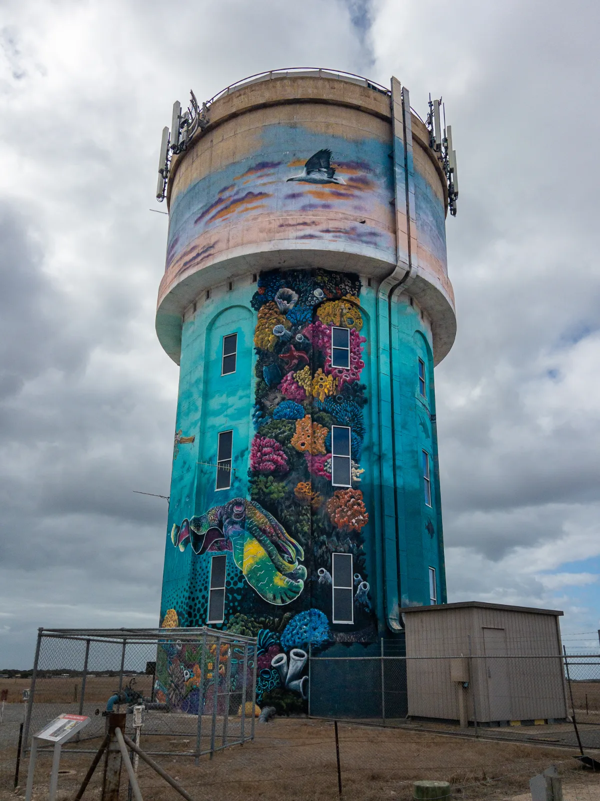 Edithburgh's water tower is transformed into an underwater wonderland with its vibrant mural.