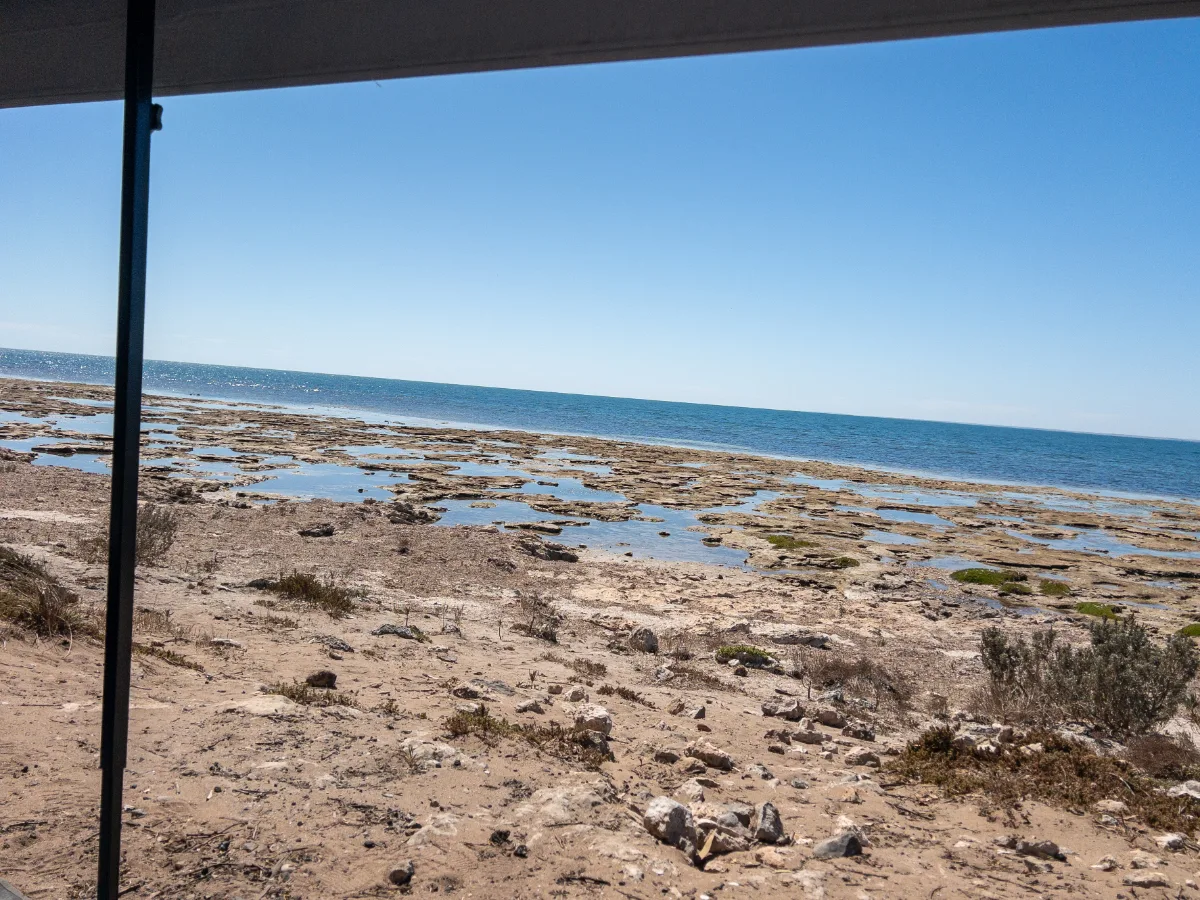 The intertidal zone at Point Turton reveals a landscape of rugged beauty during low tide.