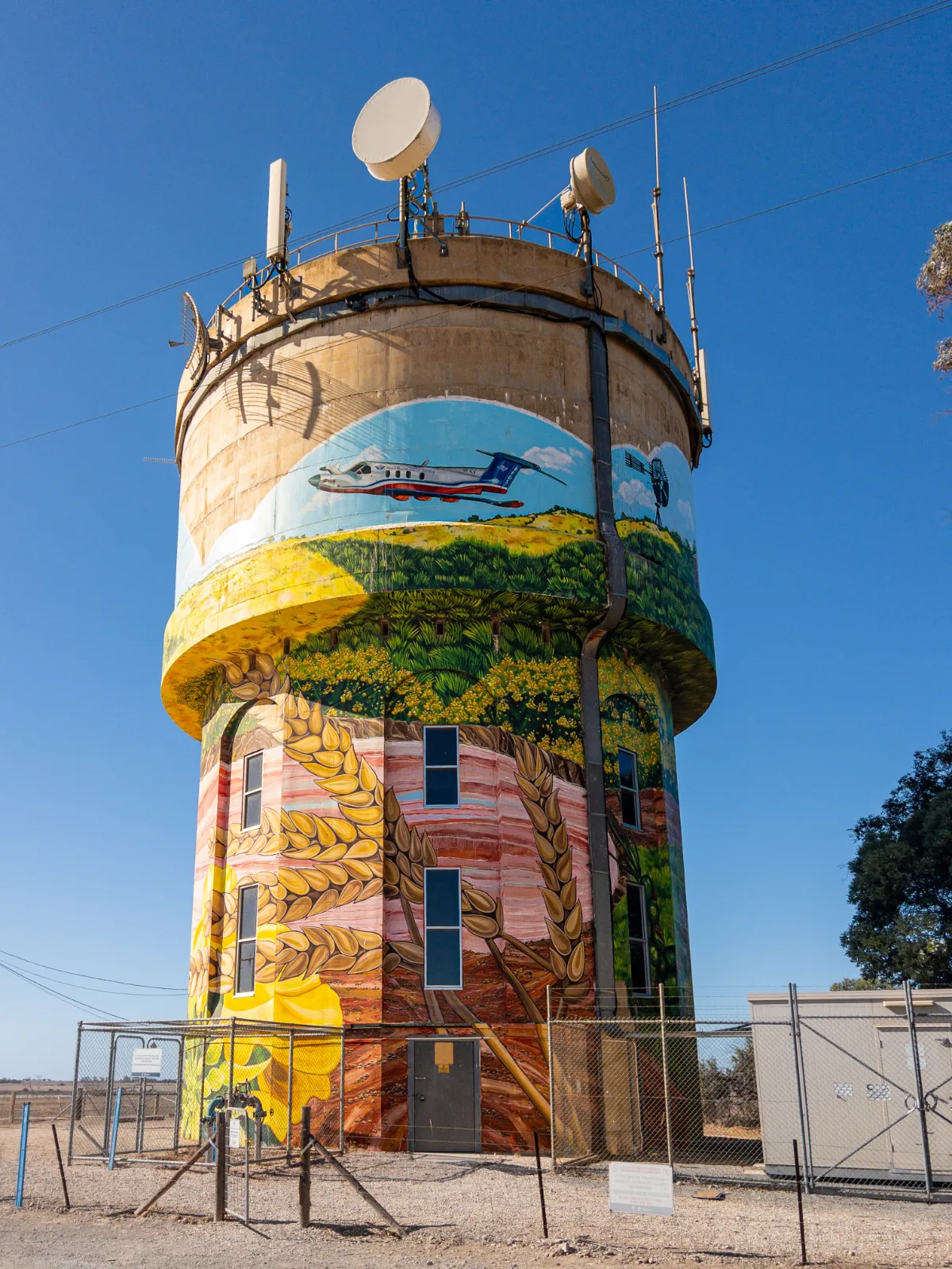 The Yorketown water tower transformed into a canvas celebrating the region’s agricultural heritage.
