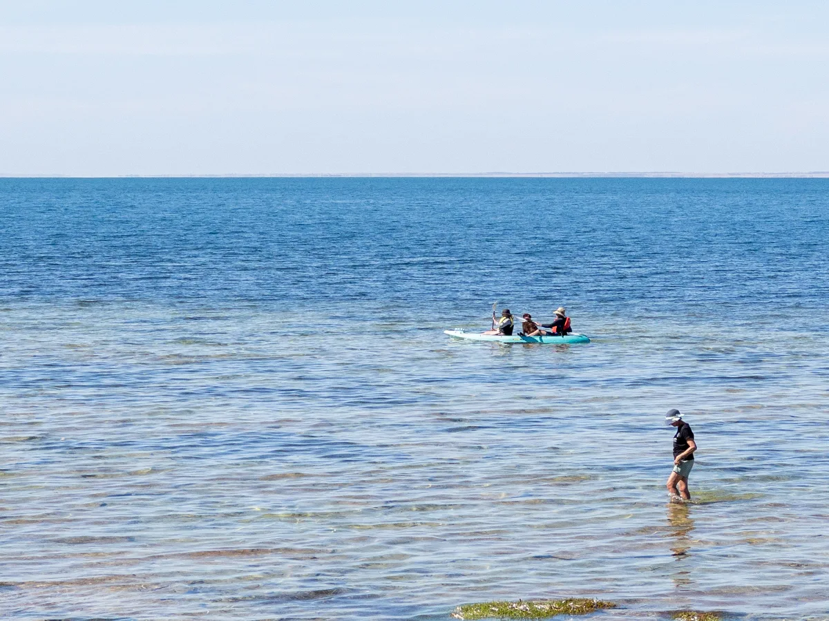 Kayakers enjoy the calm waters of Point Turton on a sunny afternoon.