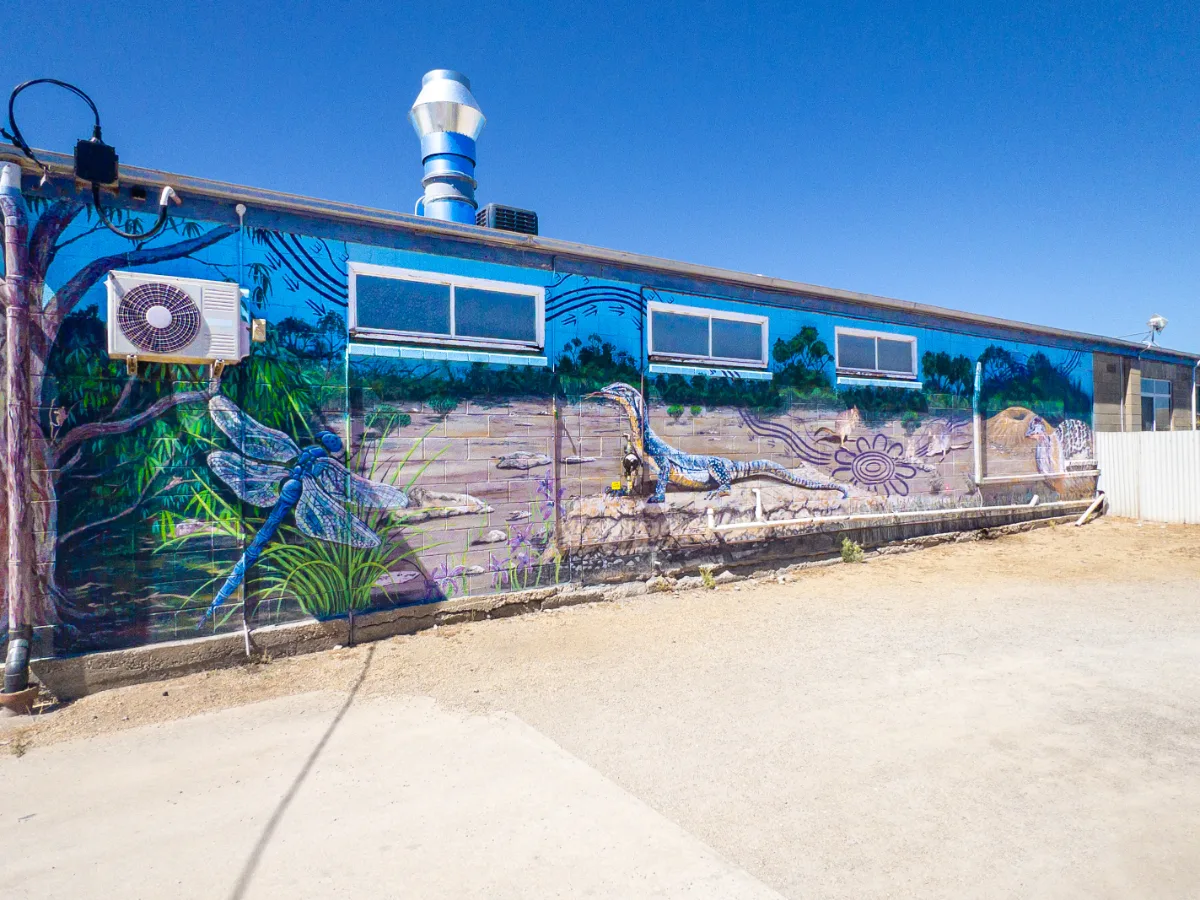 A building-length mural in Warooka showcasing the local wetland ecosystem, featuring dragonflies, lizards, and native plants.