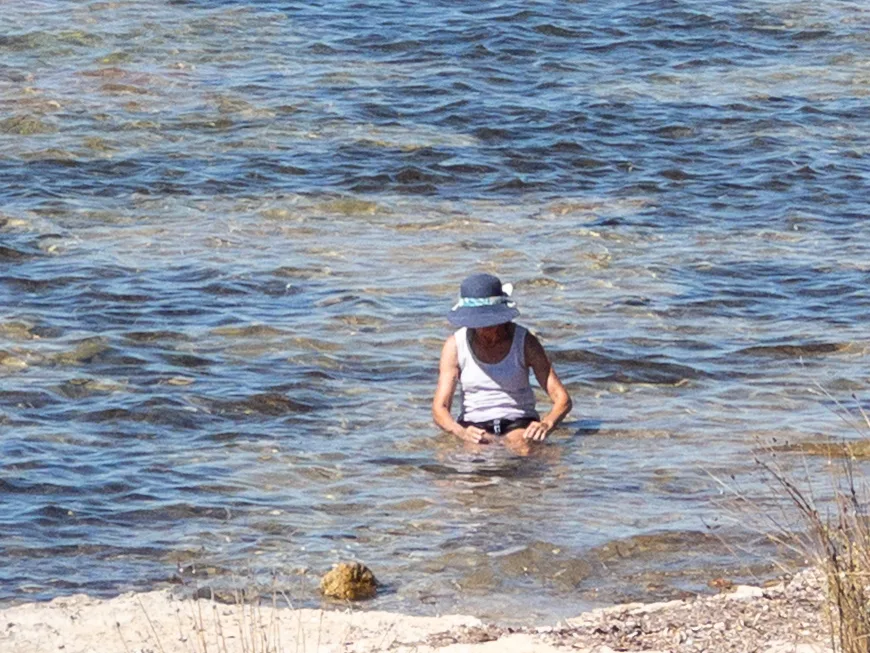 Lisa takes advantage of the clear waters near Point Turton to cool off from the March heat.