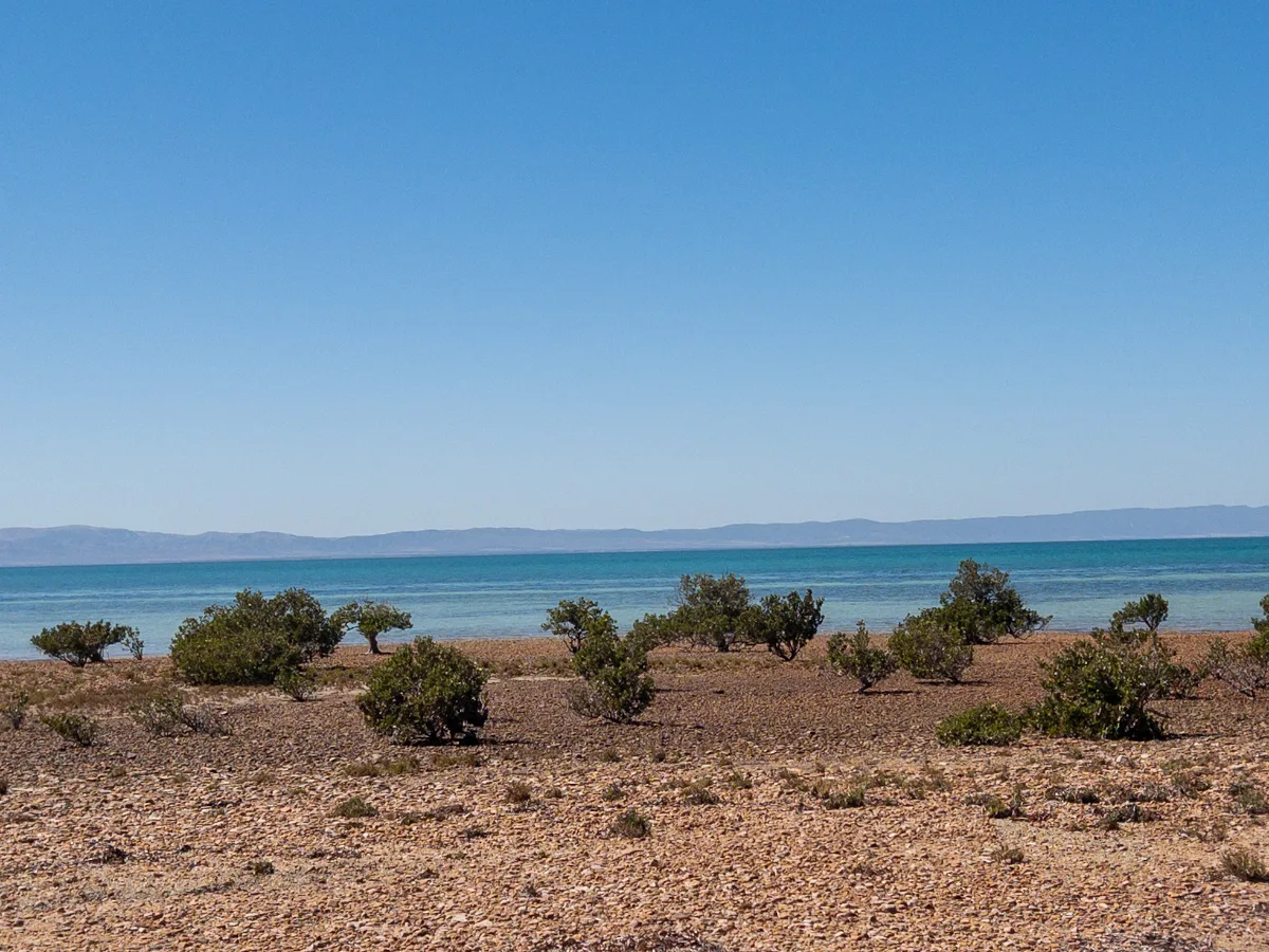 The austere beauty of Point Lowly, outside of Whyalla. The scrubby vegetation somehow survives despite the harsh conditions.
