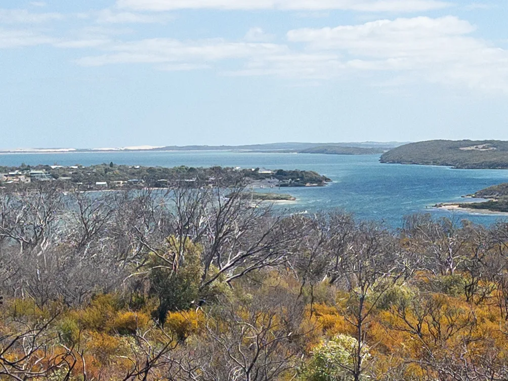 Looking out over the tranquil waters surrounding Coffin Bay.