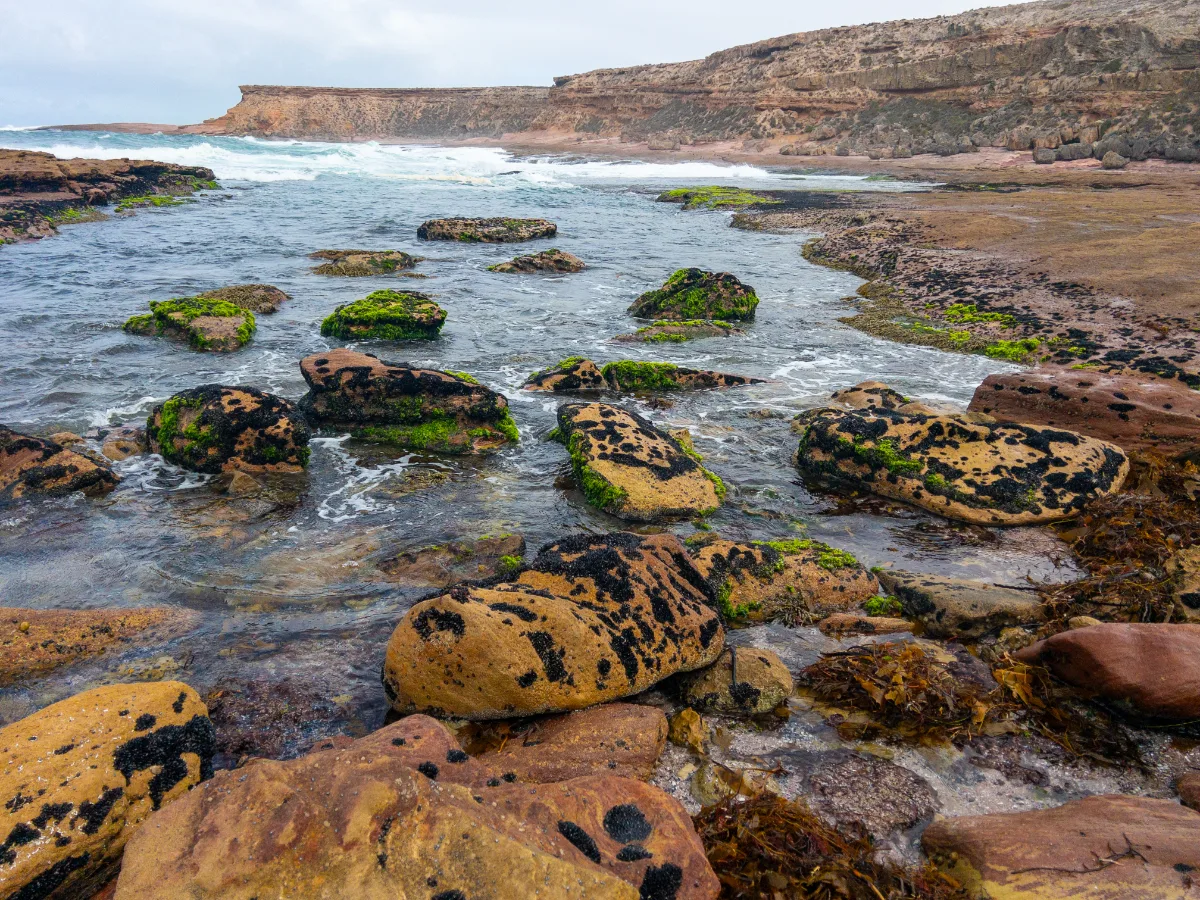 Seaweed adds a touch of vibrant green to the rugged, weather-worn rocks of Woolshed Cave.