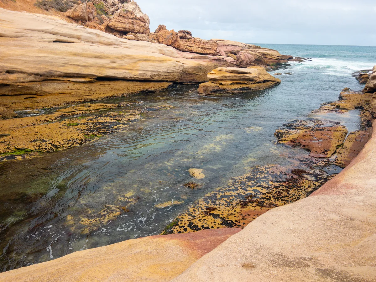 The clear waters of Woolshed Cave reveal intricate patterns on the rocks below.