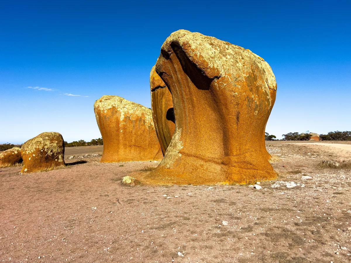 Close-up reveals the weathered surface of one of Murphy's Haystacks, resembling the faces of ancient giants.
