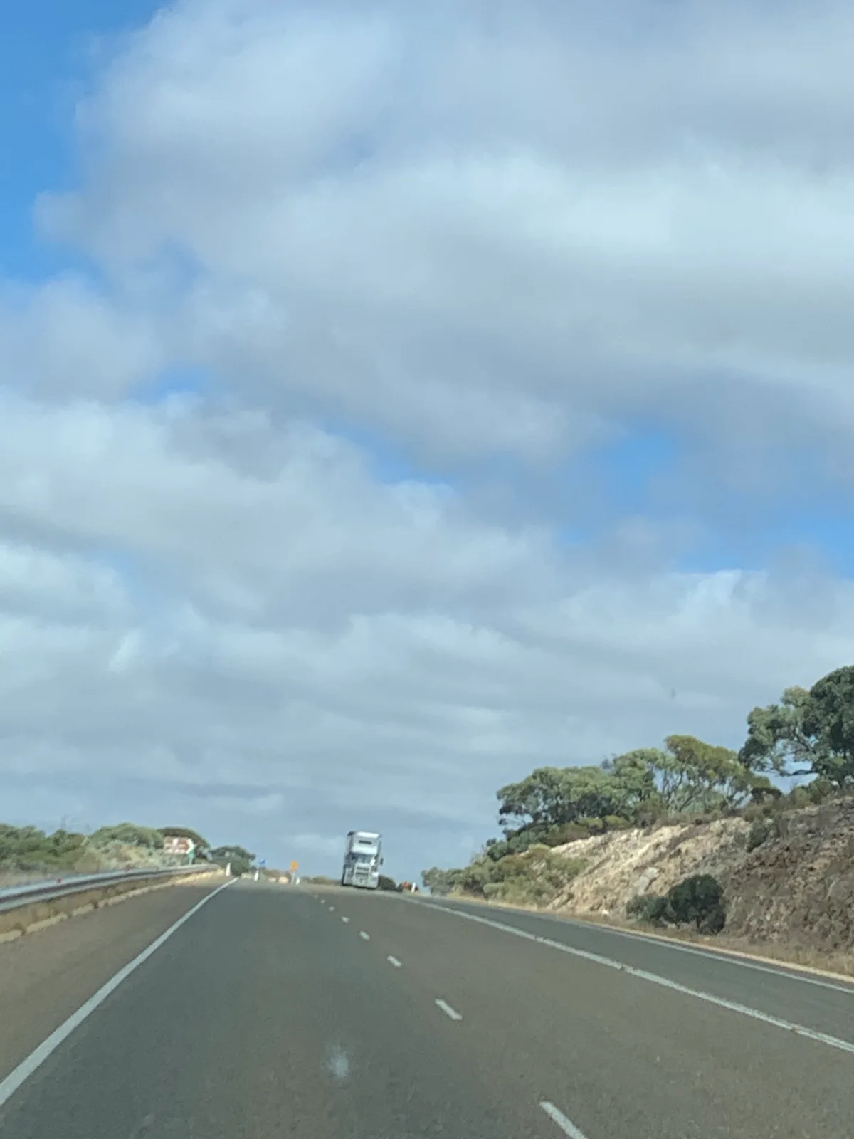 Another traveller makes their way along the Eyre Highway, a lonely sentinel on the horizon.