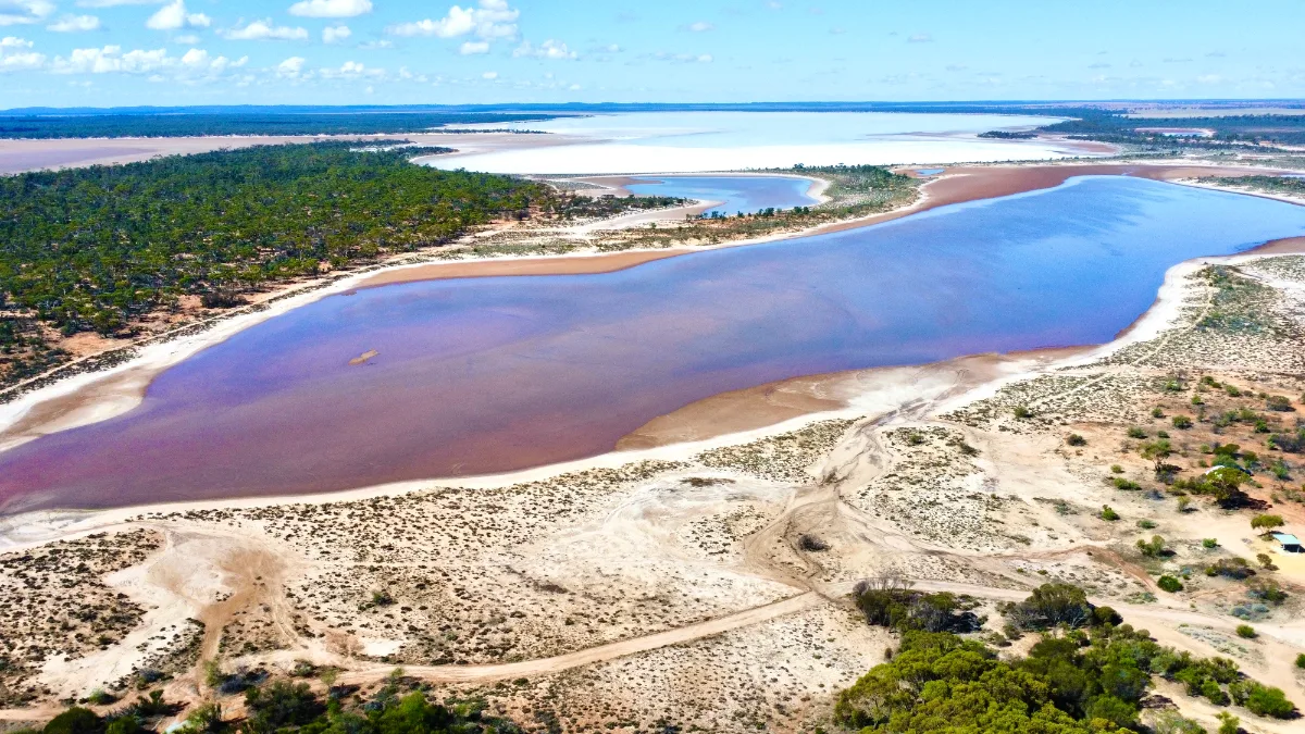 The surreal pink hue of one of Baladjie's salt lakes, a natural phenomenon that must be seen to be believed.
