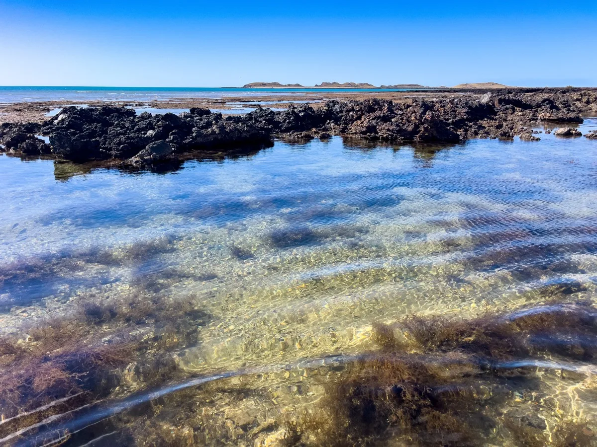 Nature's artwork revealed at low tide