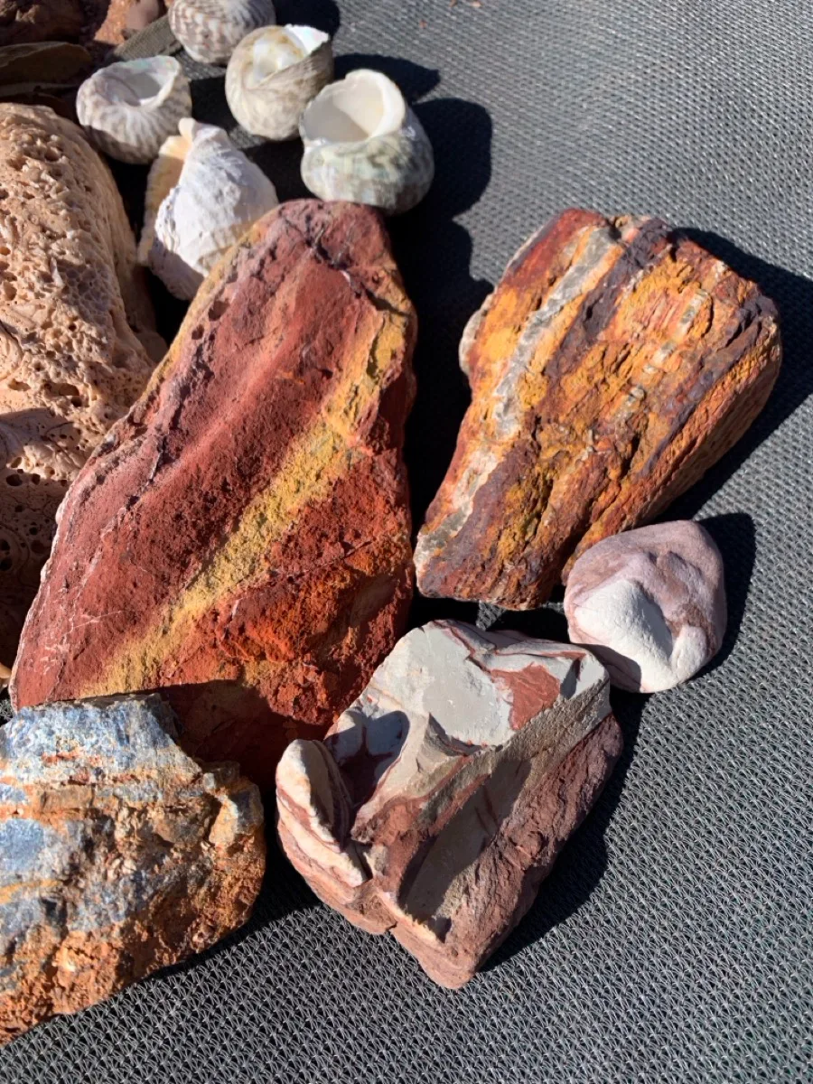 Iron-rich rocks and fossils paint Australia's geological story