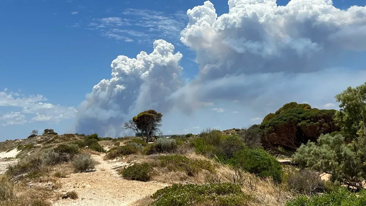 Bushfire smoke rises over the coastal dunes near camp