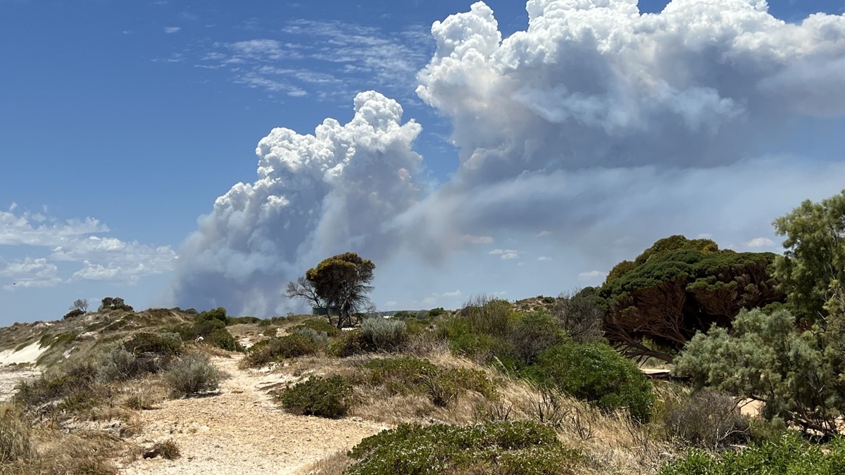 Bushfire smoke rises over the coastal dunes near camp